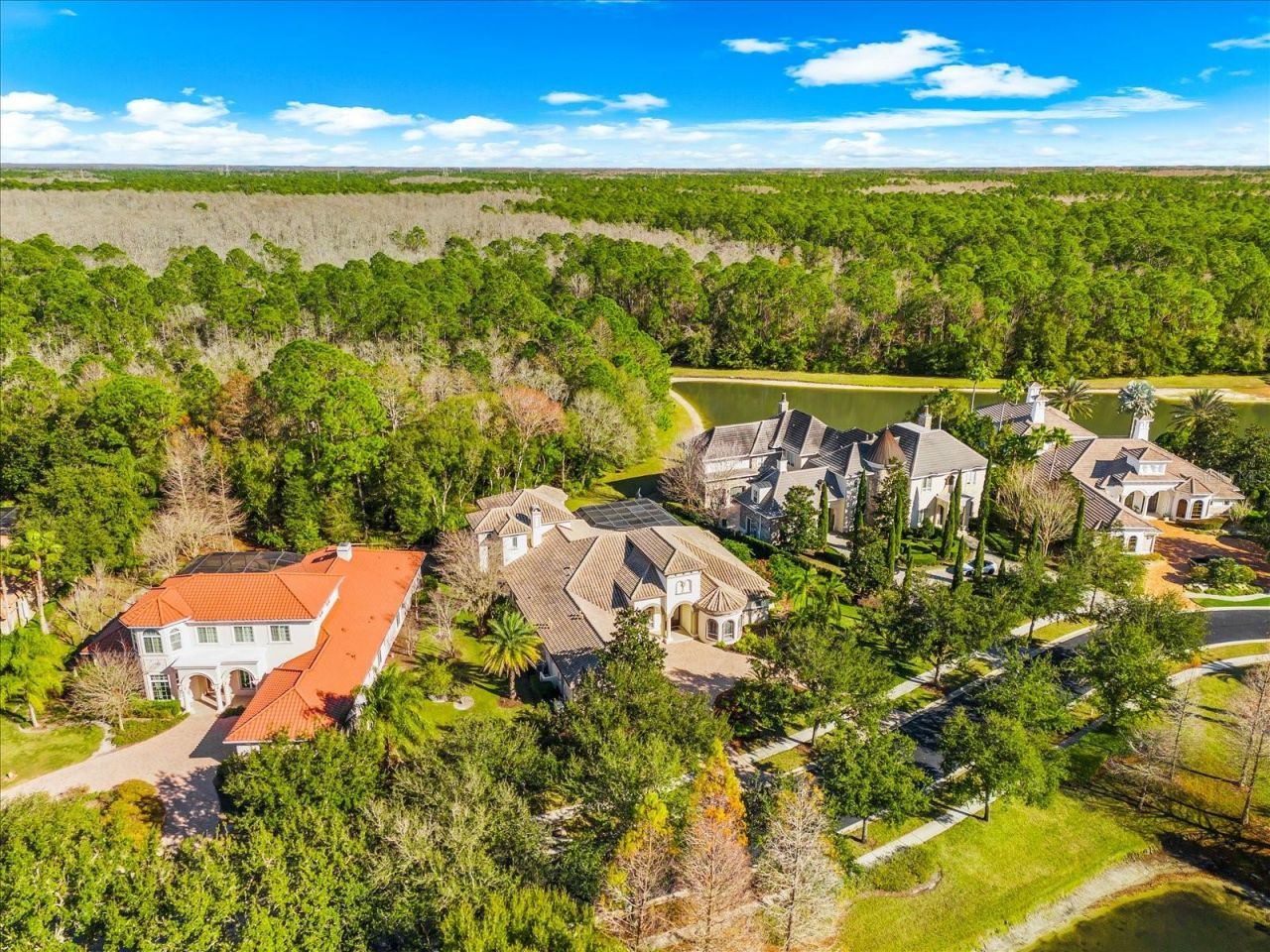 2661 Hawks Landing Boulevard, Palm Harbor, FL 34685 Photo