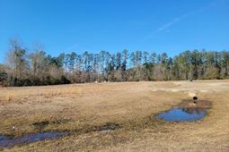 91 Rice Gate Court photo 4