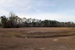 91 Rice Gate Court photo 4