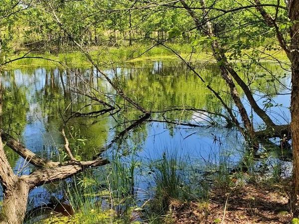 400 County Road 2775 , Mineola, TX 75773