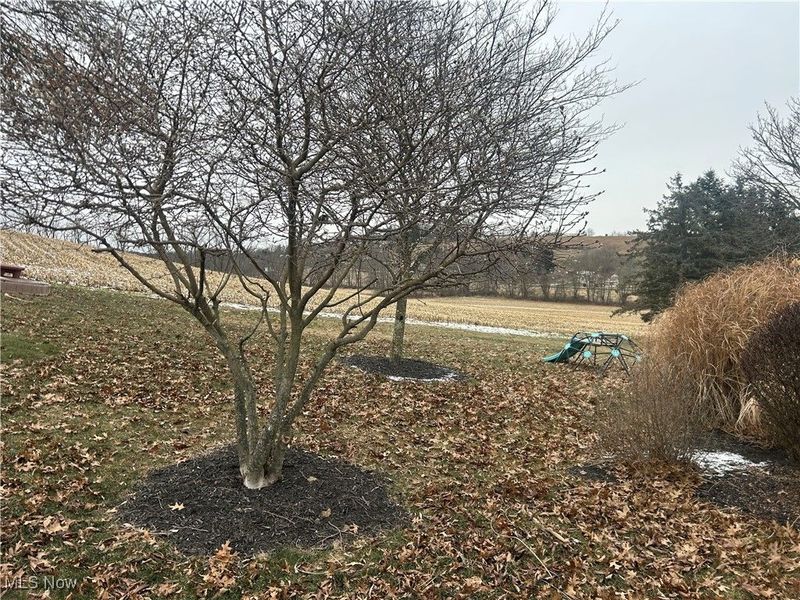 3156 Josephine Street NW, Dover, OH 44622 Photo 22