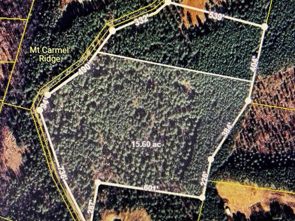15.53ac Redman Ridge Lane, Decatur, TN 37322