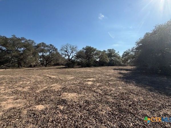 0 Fm-1447, Yoakum, TX 77995