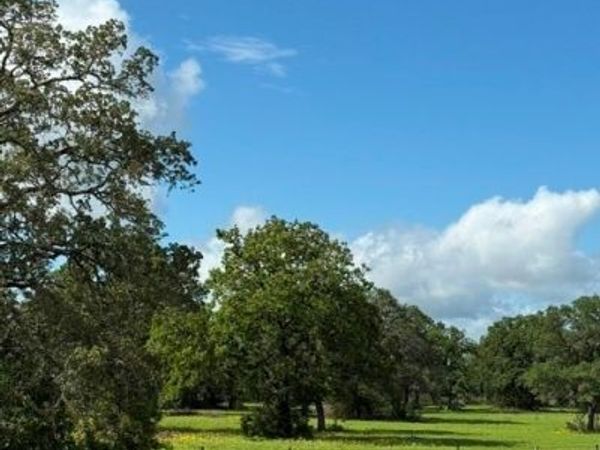 0 Fm-1447, Yoakum, TX 77995