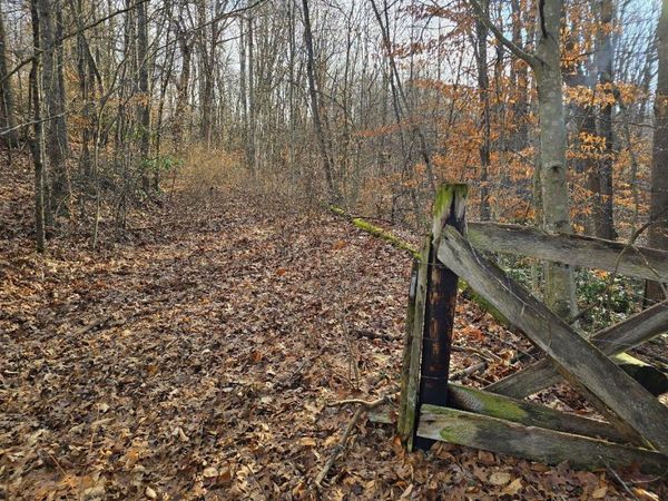 Collinwood Drive, Oak Hill, WV 25840