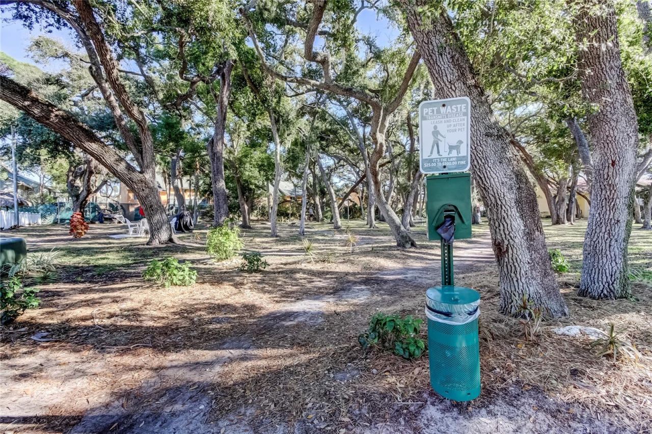 3650 41st Way S, Unit A, Saint Petersburg, FL 33711 Photo