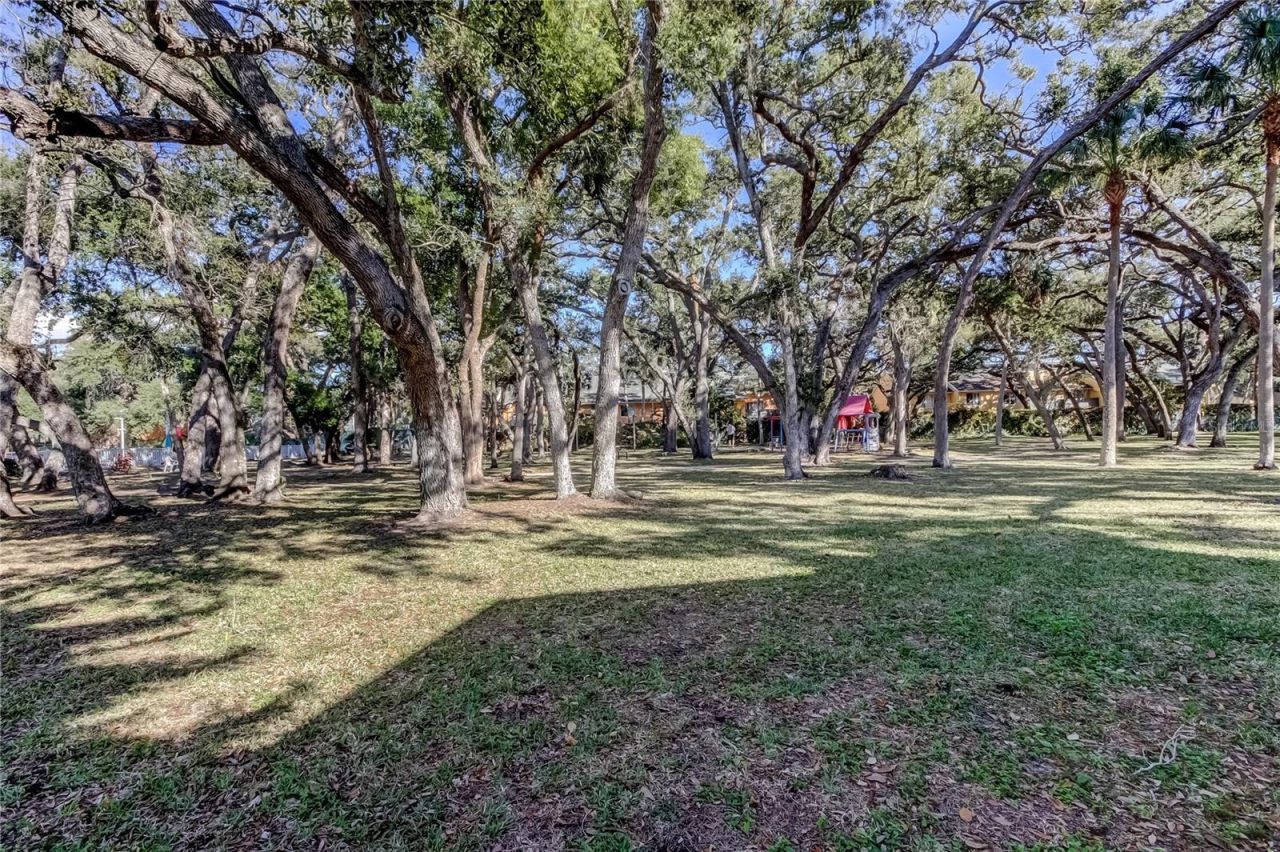 3650 41st Way S, Unit A, Saint Petersburg, FL 33711 Photo