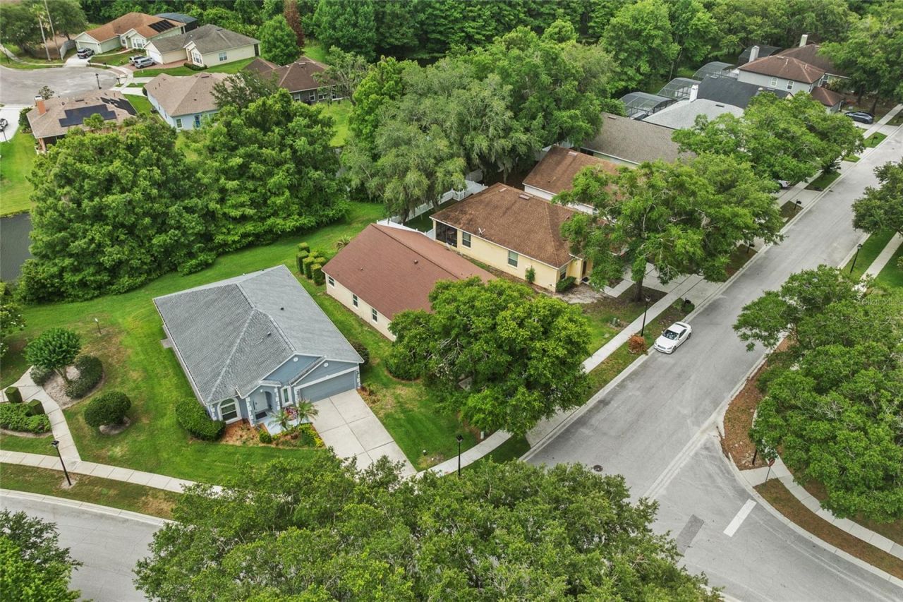 2955 Sabel Oak Place, Oviedo, FL 32765 Photo