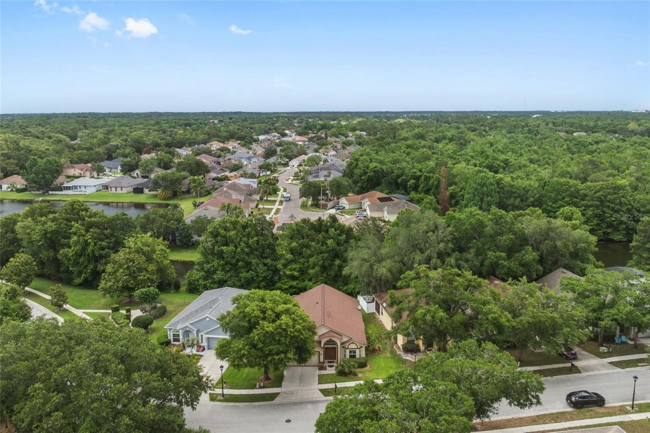 2955 Sabel Oak Place, Oviedo, FL 32765 Photo
