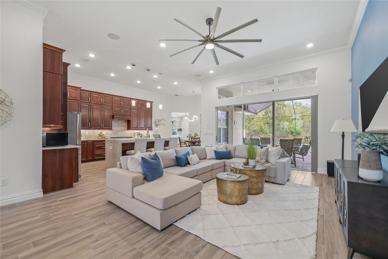 16712 Courtyard Loop, Land O Lakes, FL 34638 Photo