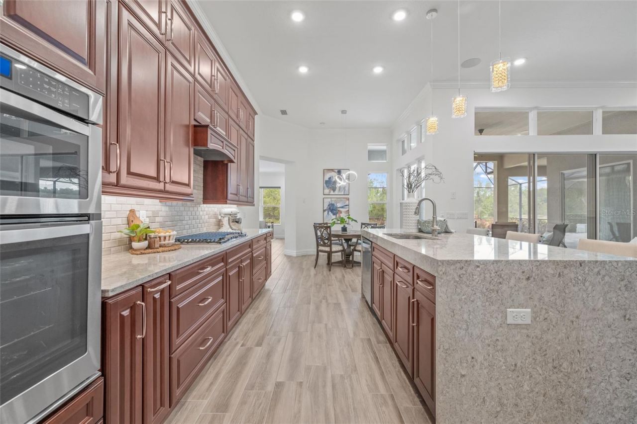 16712 Courtyard Loop, Land O Lakes, FL 34638 Photo