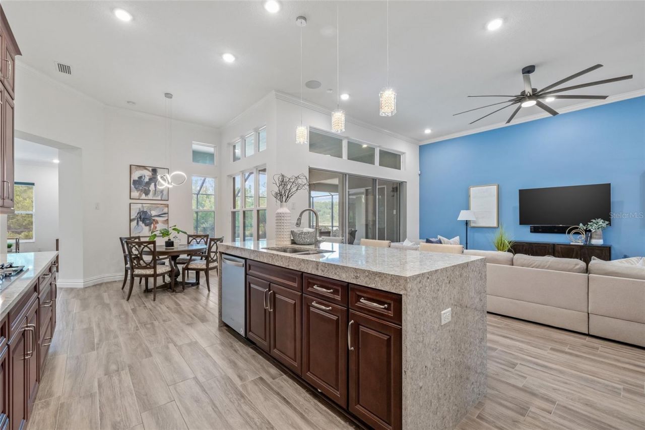 16712 Courtyard Loop, Land O Lakes, FL 34638 Photo