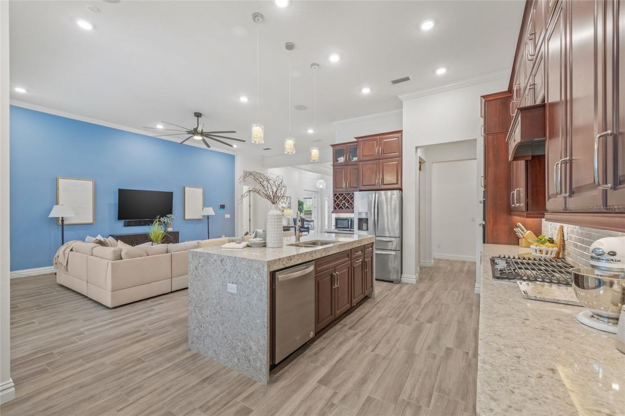 16712 Courtyard Loop, Land O Lakes, FL 34638 Photo