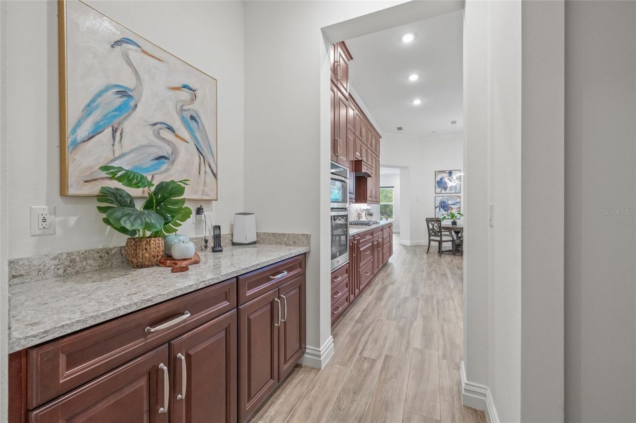 16712 Courtyard Loop, Land O Lakes, FL 34638 Photo