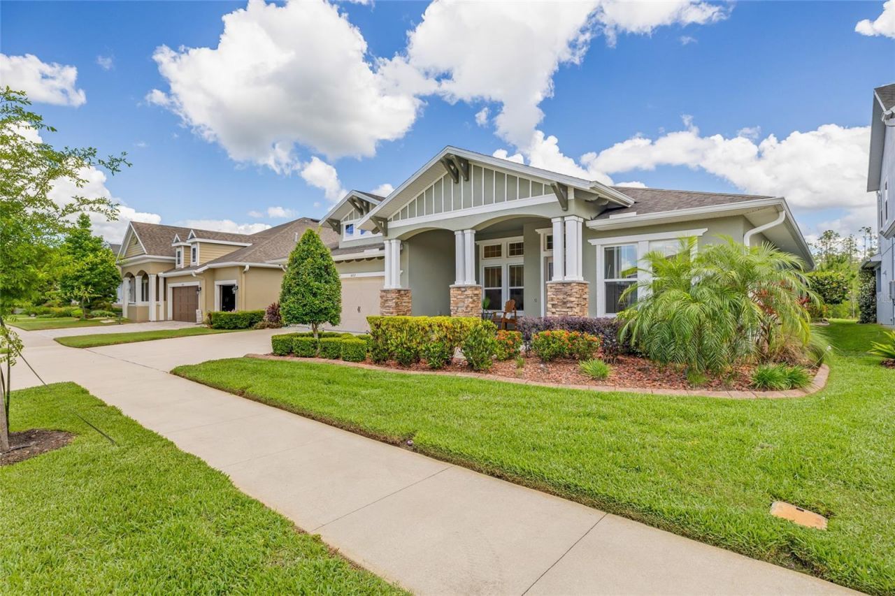 16712 Courtyard Loop, Land O Lakes, FL 34638 Photo
