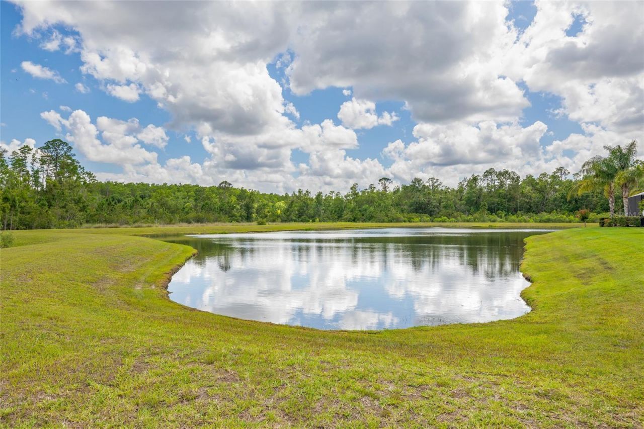 16712 Courtyard Loop, Land O Lakes, FL 34638 Photo