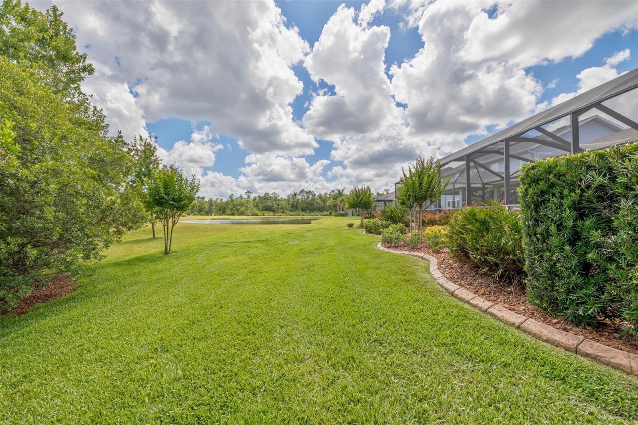 16712 Courtyard Loop, Land O Lakes, FL 34638 Photo