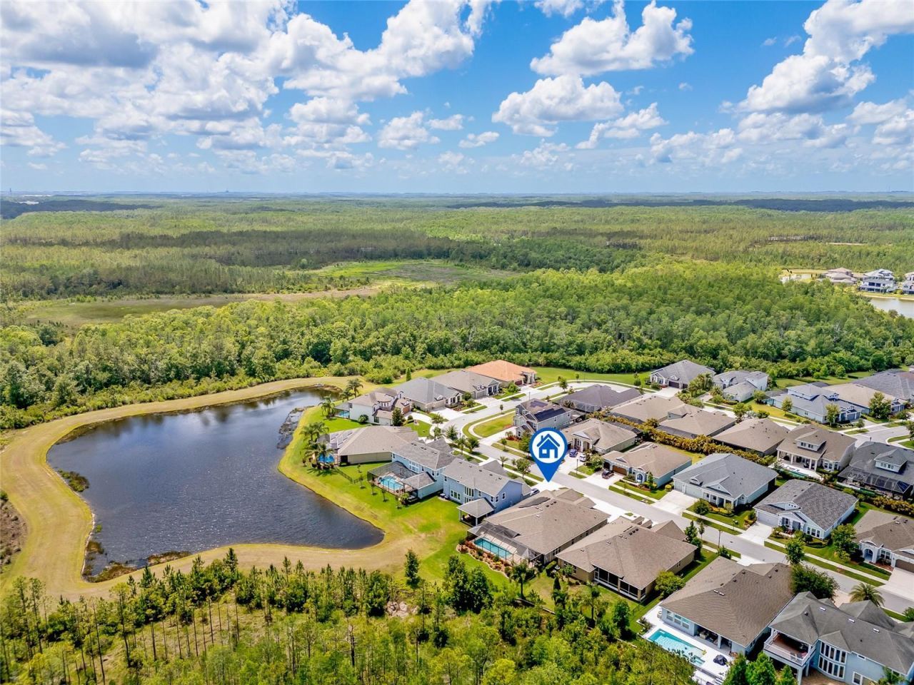 16712 Courtyard Loop, Land O Lakes, FL 34638 Photo