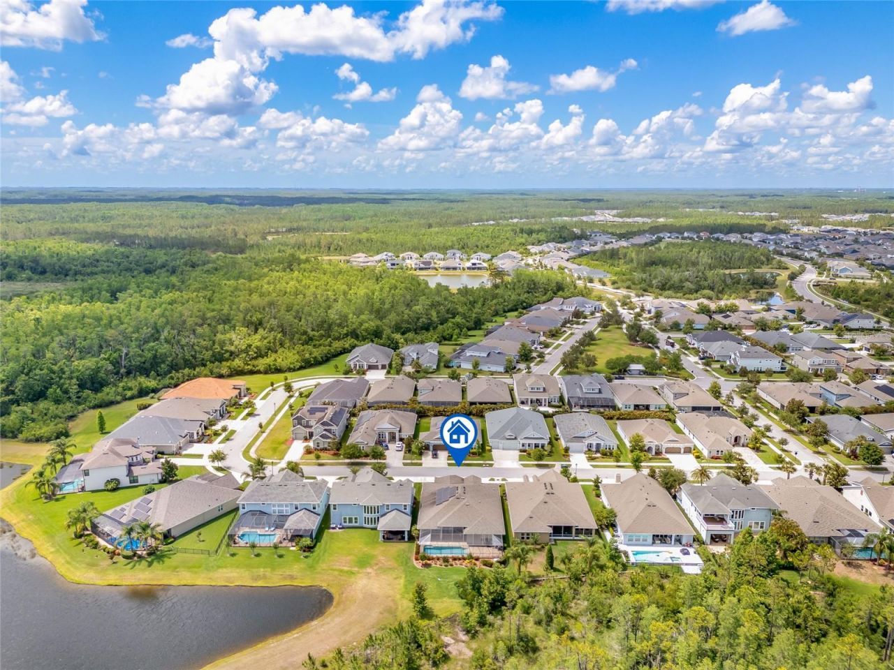 16712 Courtyard Loop, Land O Lakes, FL 34638 Photo