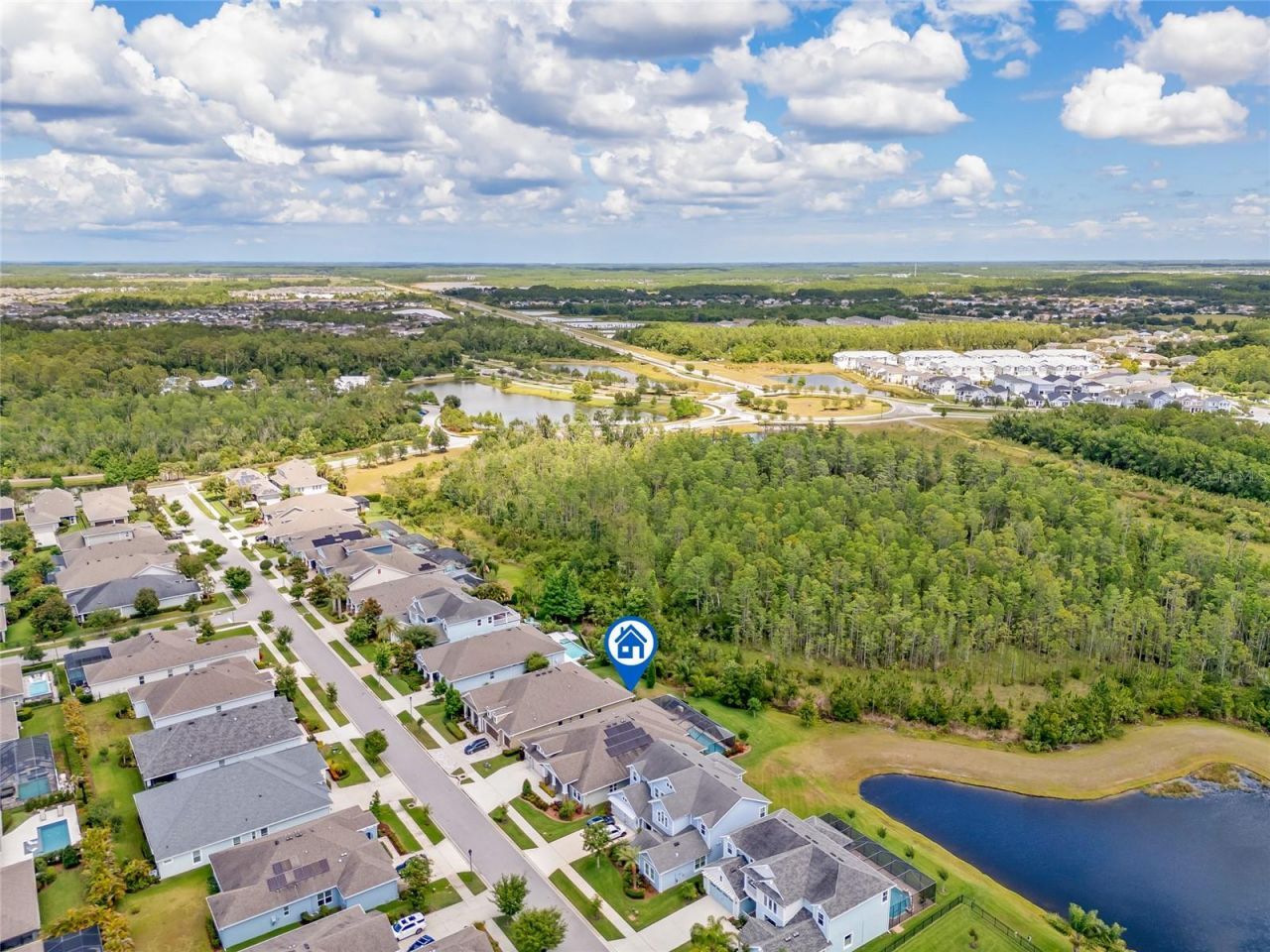 16712 Courtyard Loop, Land O Lakes, FL 34638 Photo