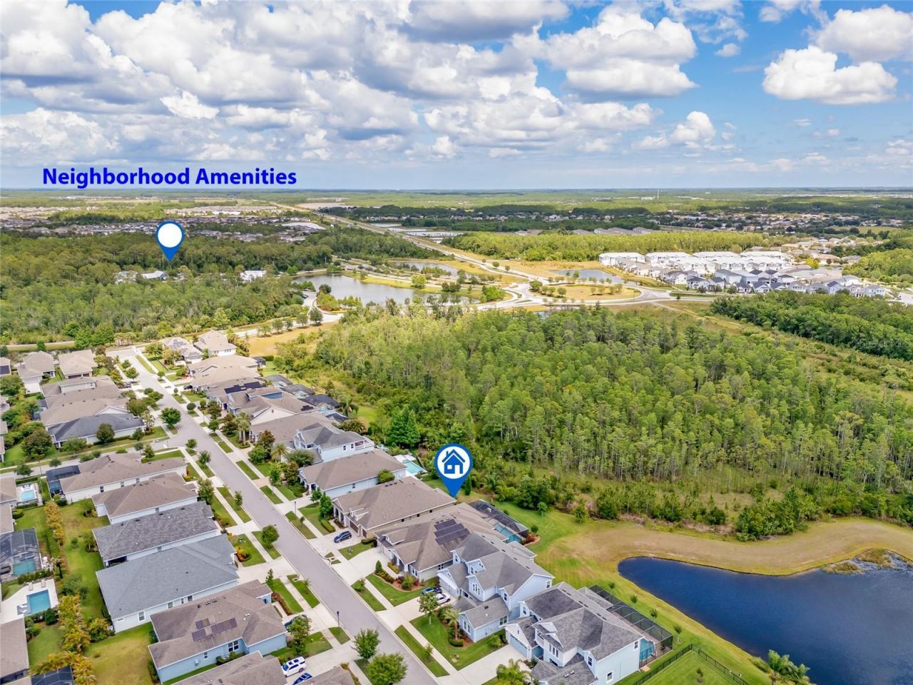 16712 Courtyard Loop, Land O Lakes, FL 34638 Photo