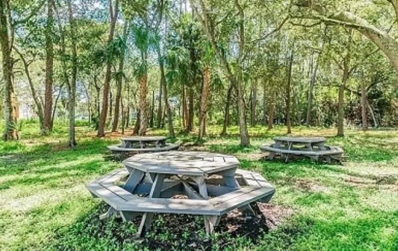 1400 Gandy Boulevard N, Unit 512, Saint Petersburg, FL 33702 Photo