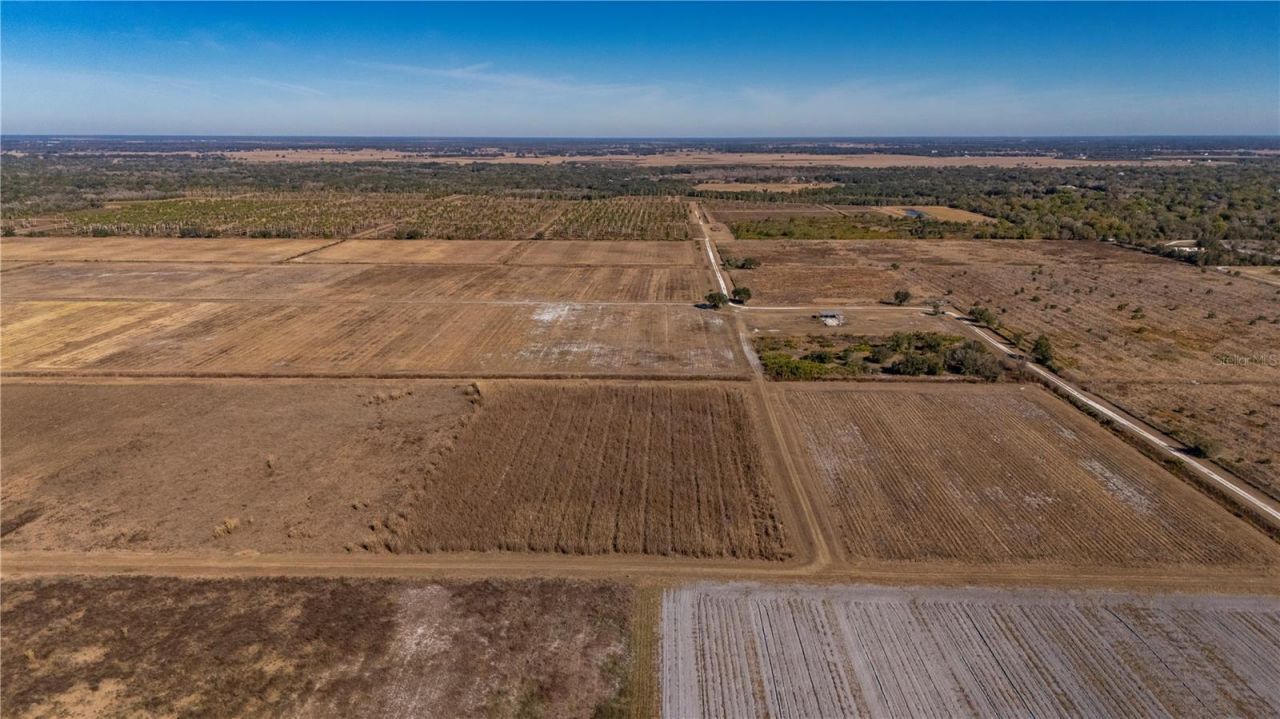 Nw Hwy 72, Arcadia, FL 34266 Photo