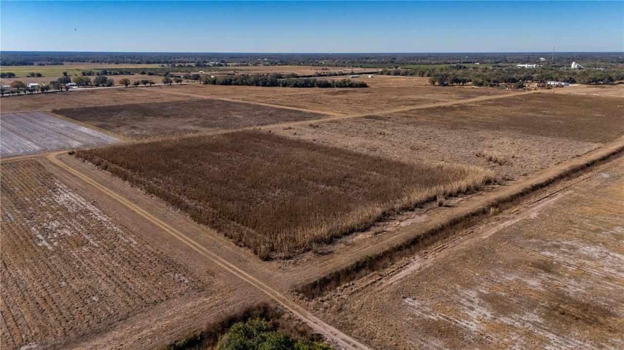 Nw Hwy 72, Arcadia, FL 34266 Photo