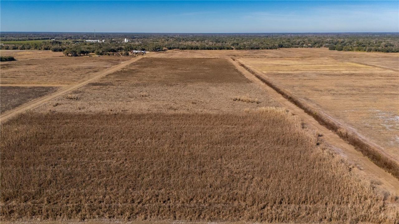 Nw Hwy 72, Arcadia, FL 34266 Photo