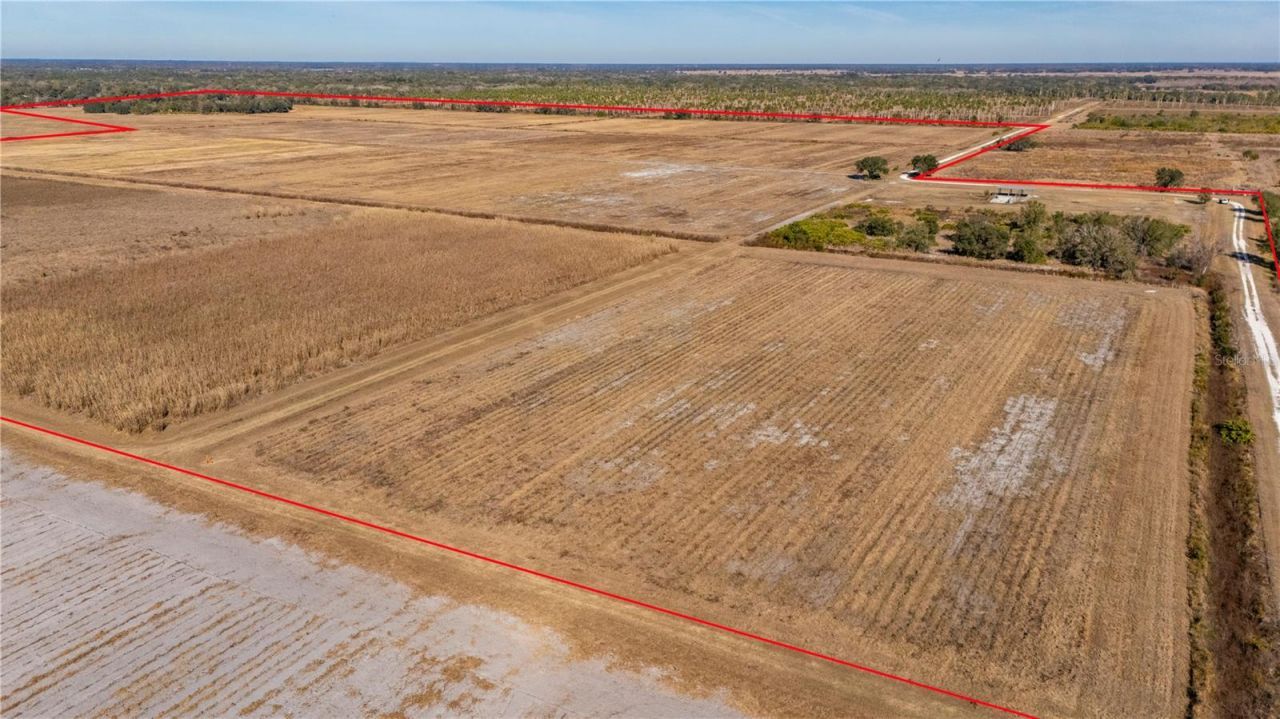 Nw Hwy 72, Arcadia, FL 34266 Photo