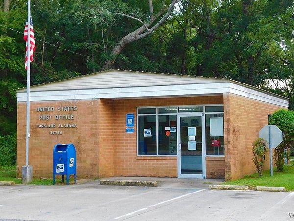 3663 M L King Drive, Forkland, AL 36740