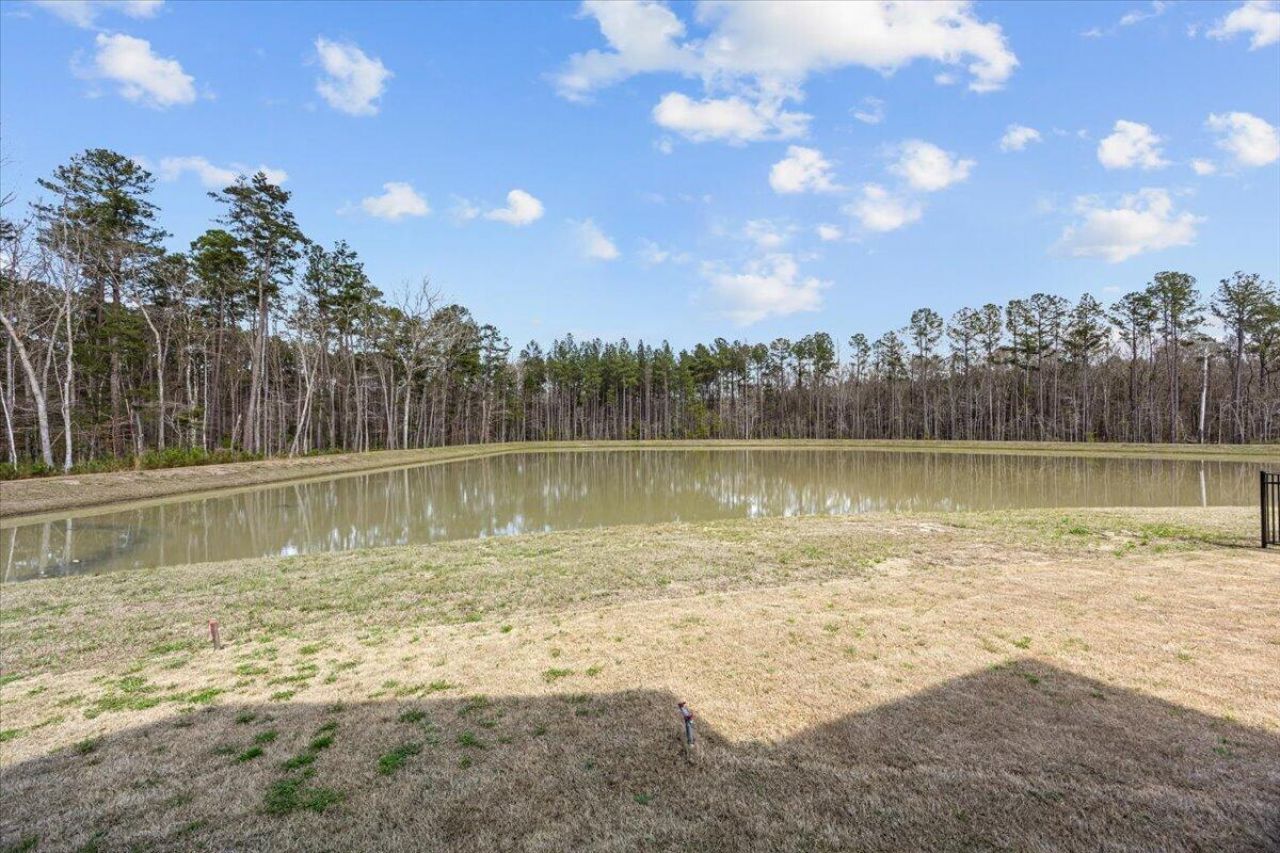 1027 Field Sparrow Drive Photo 54