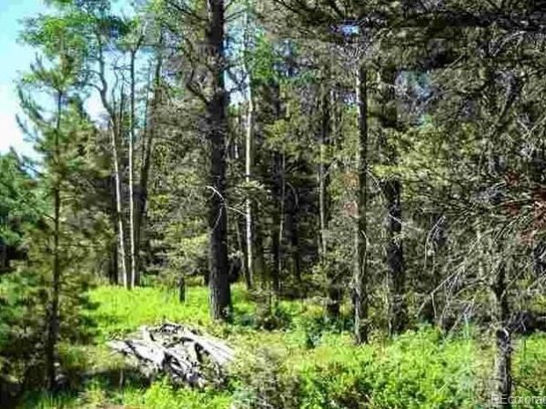 Lot 1882 , Fort Garland, CO 81133
