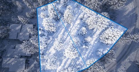 10336 Palisades Drive, Truckee, CA 96161 Photo