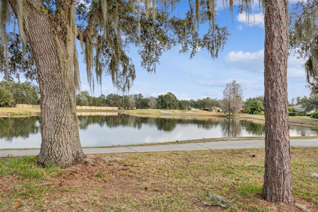 305 Rock Springs Drive, Kissimmee, FL 34759 Photo