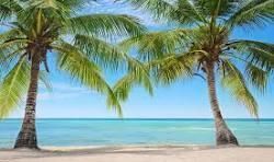 5440 N Ocean Drive, Unit Ph-206, Singer Island, FL 33404 Photo