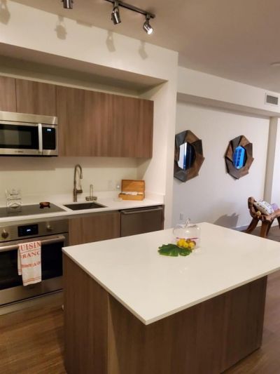 201 SW 17th Road, Unit 704, Miami, FL 33129 Photo