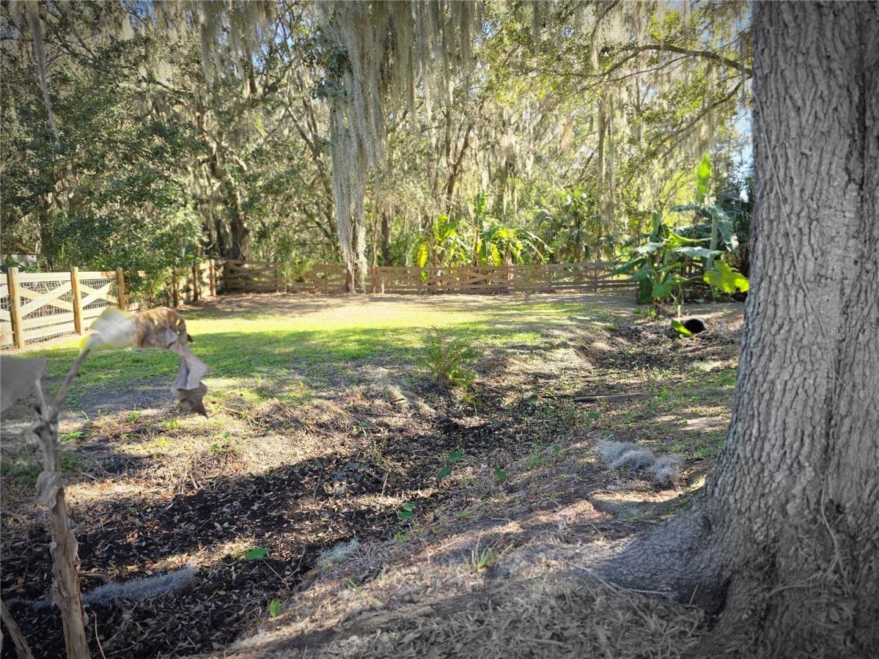 27410 Yalaha Cut Off Road, Yalaha, FL 34797 Photo