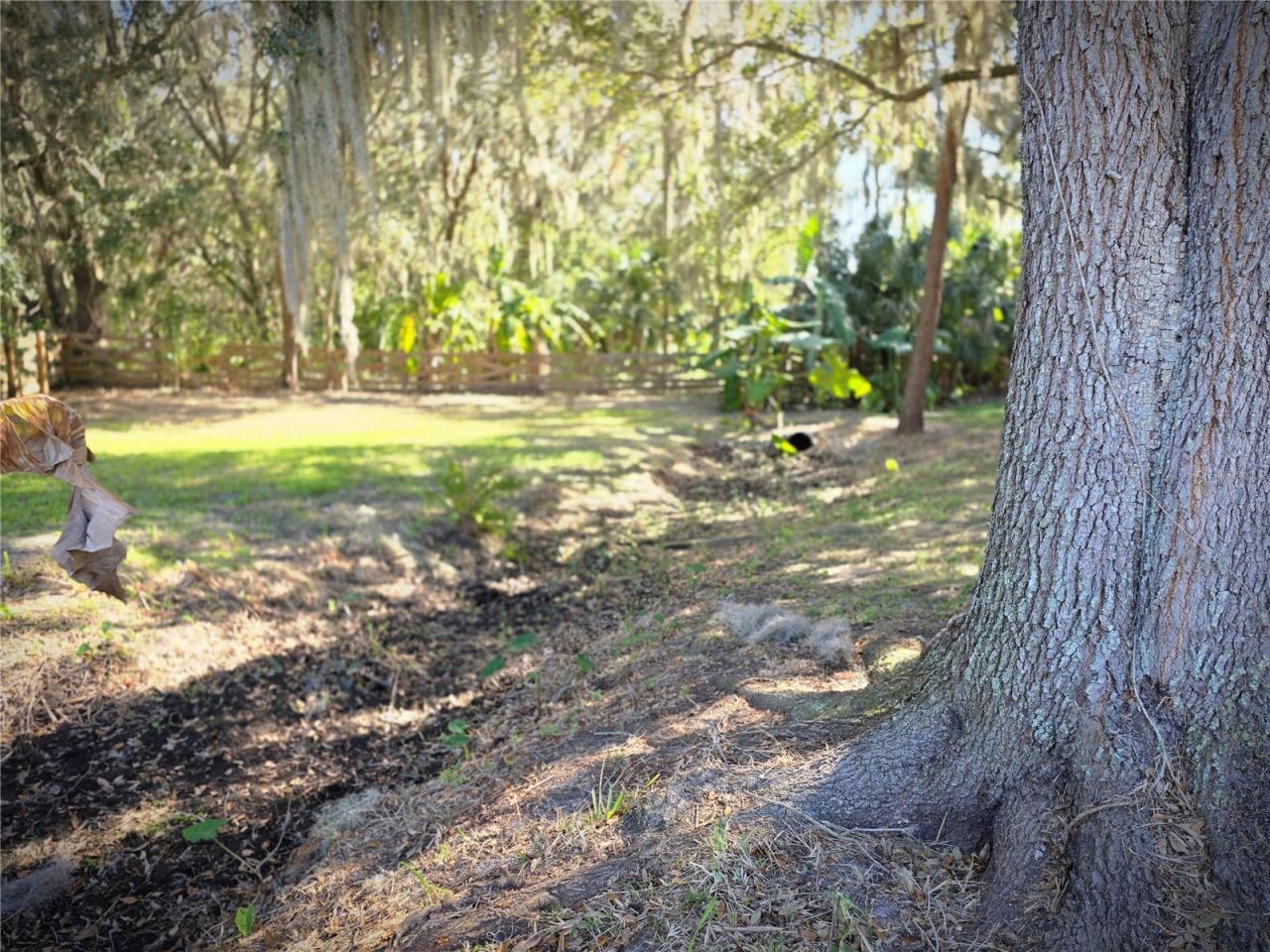 27410 Yalaha Cut Off Road, Yalaha, FL 34797 Photo