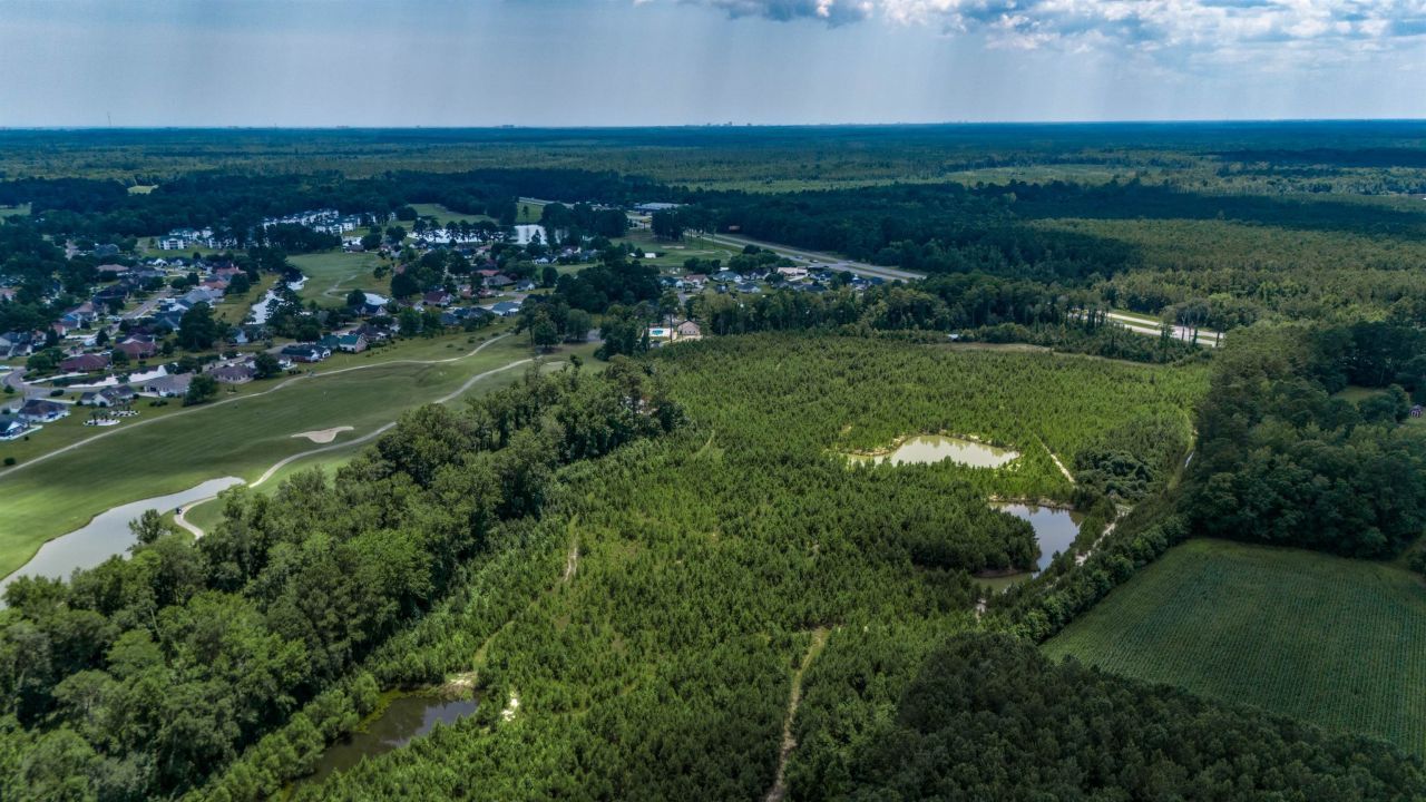 300 Rolling Ridge Dr. Photo 32