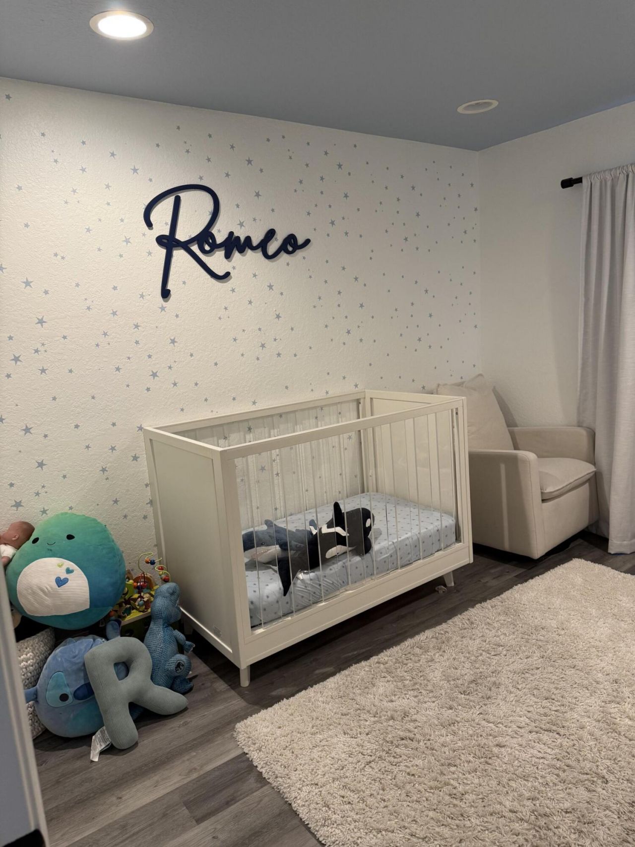 7942 Parsons Pine Drive, Boynton Beach, FL 33437 Photo
