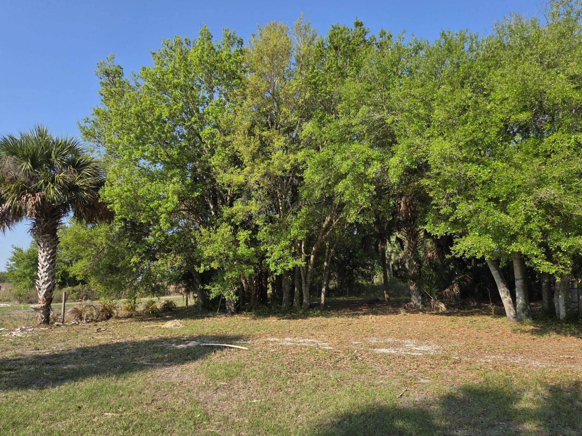 19833 NW 280th Street, Okeechobee, FL 34972 Photo