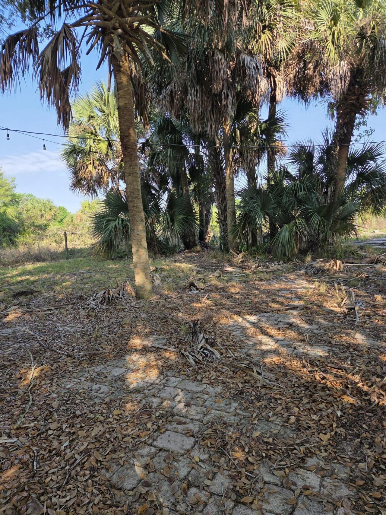 19833 NW 280th Street, Okeechobee, FL 34972 Photo