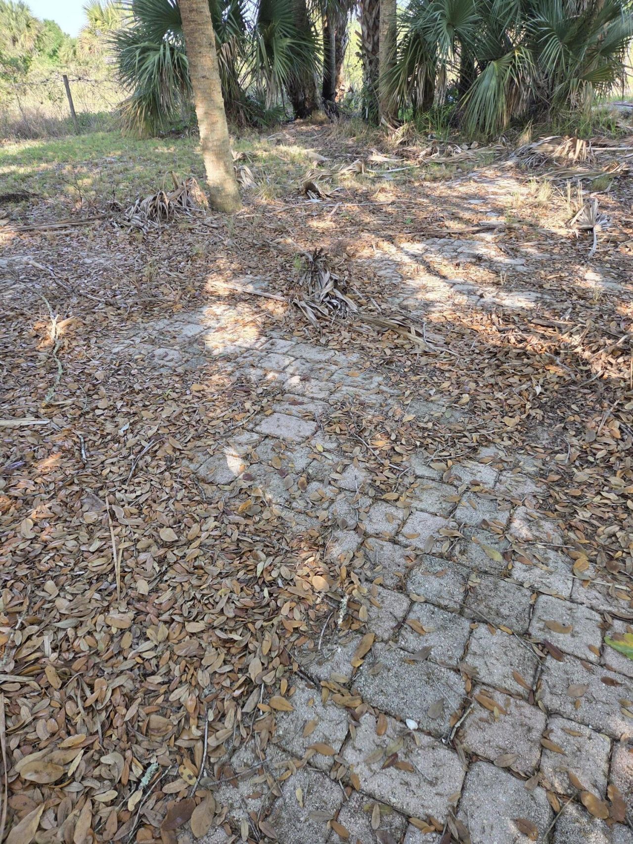 19833 NW 280th Street, Okeechobee, FL 34972 Photo