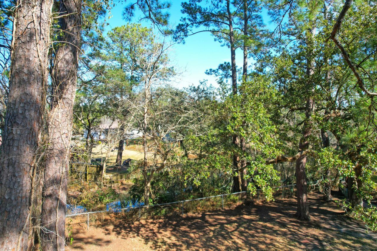 2134 Eve Circle Photo 37