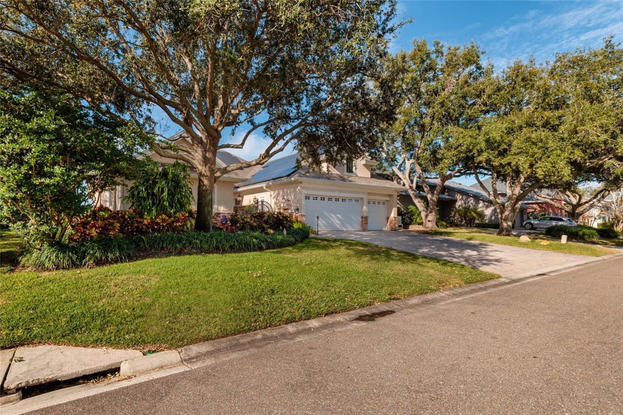 8402 Tallahassee Drive Ne, Saint Petersburg, FL 33702 Photo