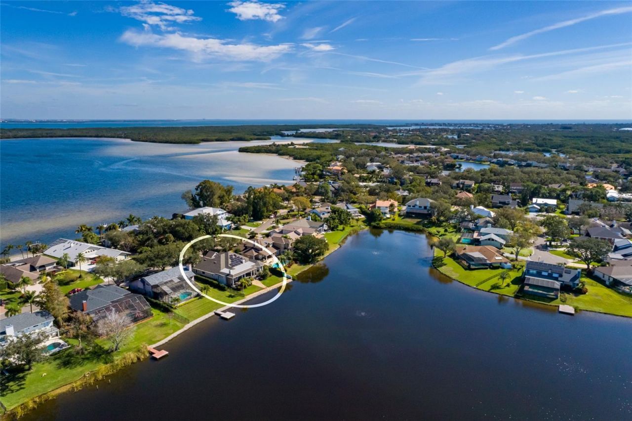 8402 Tallahassee Drive Ne, Saint Petersburg, FL 33702 Photo