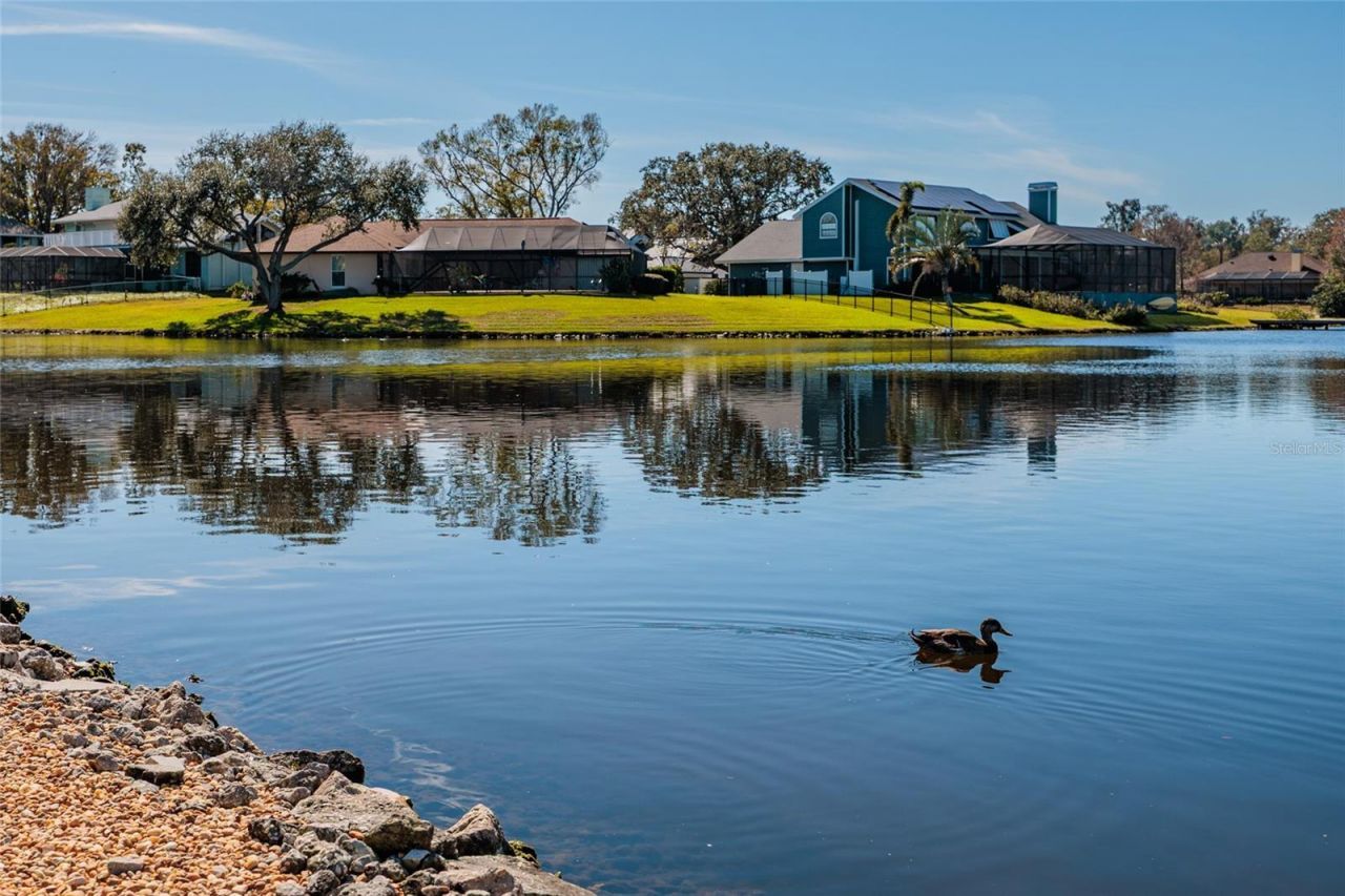 8402 Tallahassee Drive Ne, Saint Petersburg, FL 33702 Photo