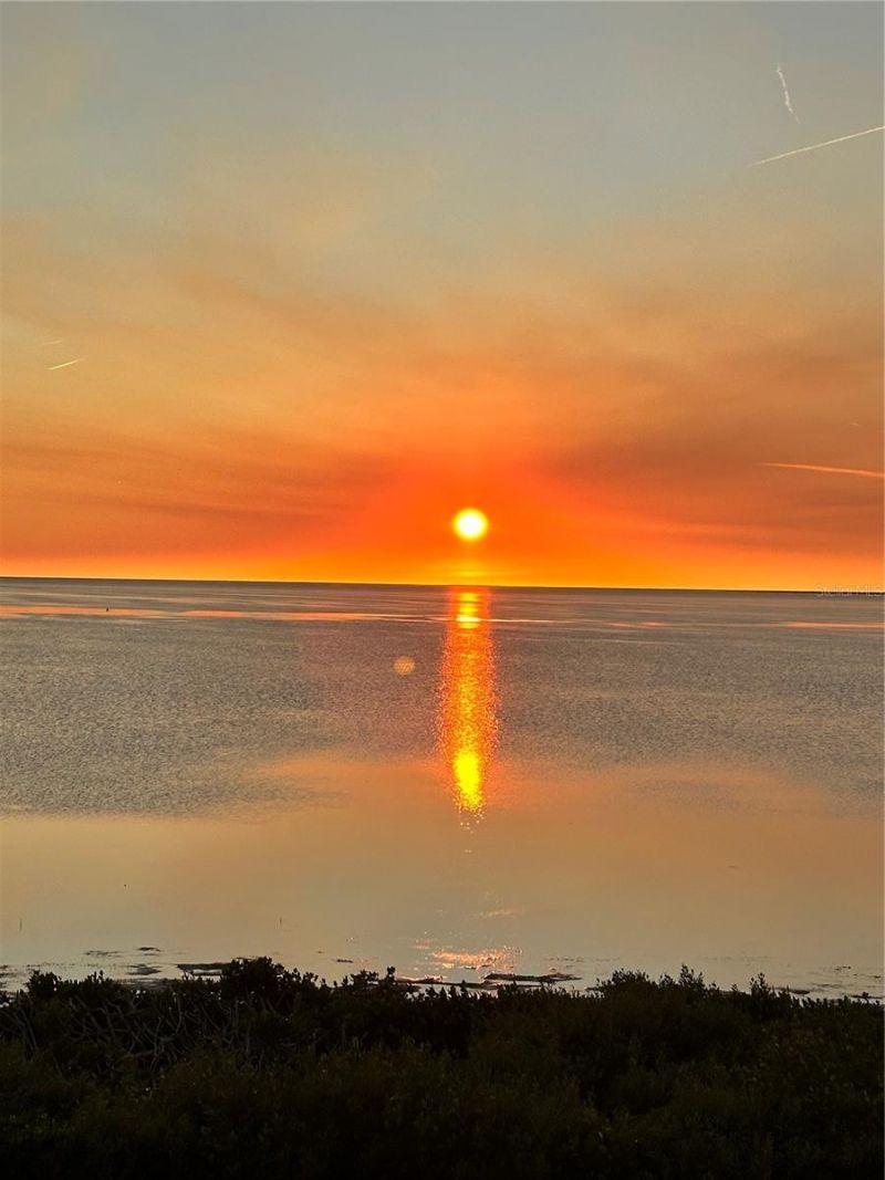 2115 Alexis Court, Tarpon Springs, FL 34689 Photo