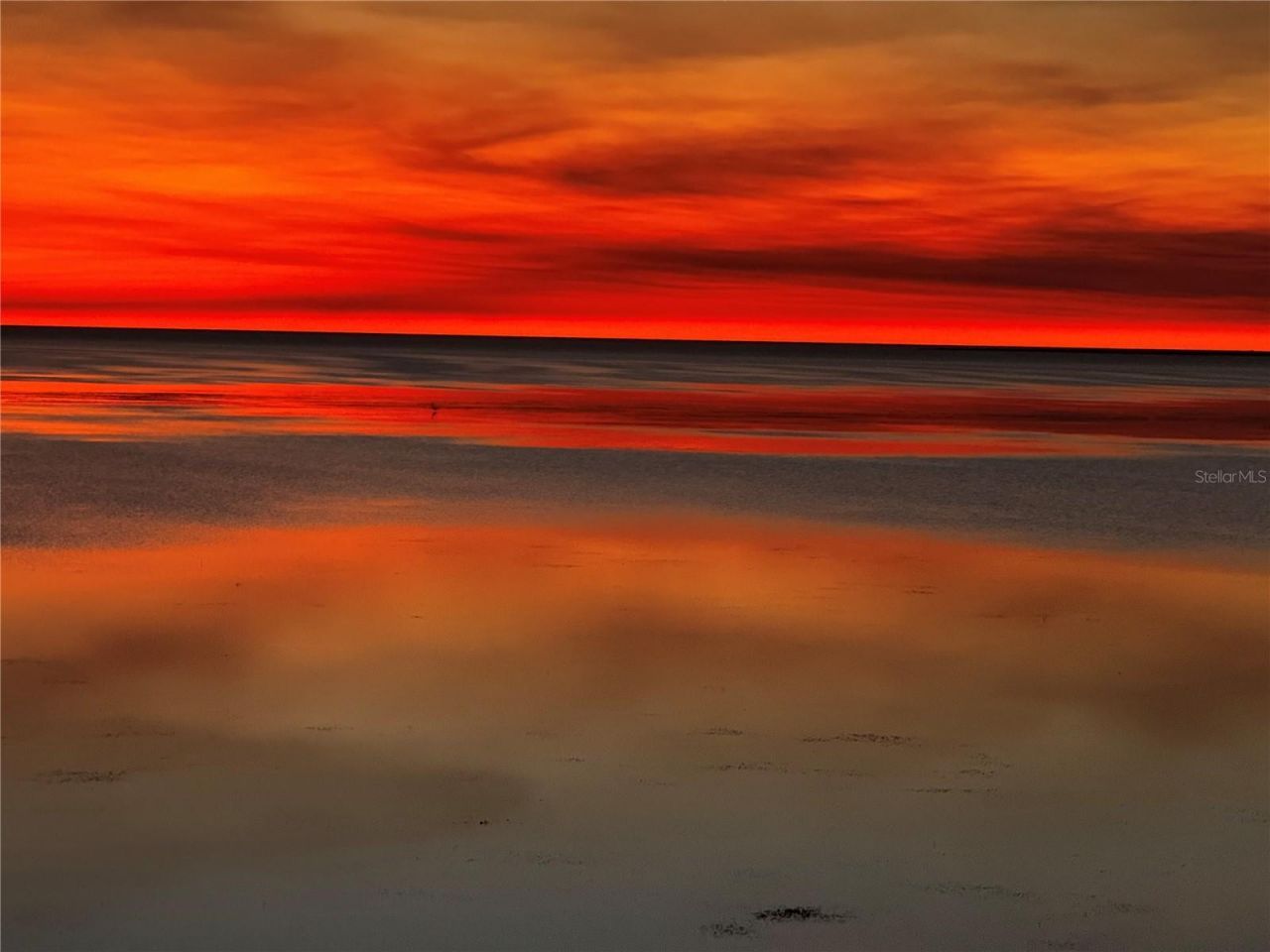 2115 Alexis Court, Tarpon Springs, FL 34689 Photo